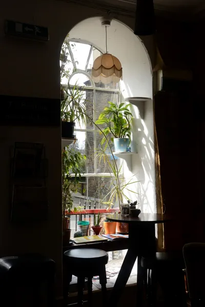 DSC_7301 (Large).JPG